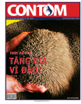 Con tôm số 55