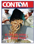 Con tôm số 59