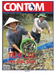 Con tôm số 61