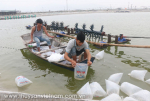 Chủ động phòng bệnh vụ mới