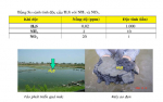 Phòng ngừa và xử lý H2S