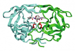 Ứng dụng hiệu quả enzyme trong nuôi thủy sản