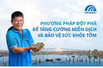 Grobest: Phương pháp đột phá để tăng cường miễn dịch và bảo vệ sức khỏe tôm Grobest: Phương pháp đột phá để tăng cường miễn dịch và bảo vệ sức khỏe tôm