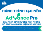 Hành trình tạo nên Advance Pro: Giải pháp dinh dưỡng tiên phong hỗ trợ tăng lợi nhuận cho vụ tôm Hành trình tạo nên Advance Pro: Giải pháp dinh dưỡng tiên phong hỗ trợ tăng lợi nhuận cho vụ tôm