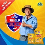 Super Shield WSSV: Giải pháp dinh dưỡng tiếp nối thành công của dòng thức ăn chức năng Super Shield Super Shield WSSV: Giải pháp dinh dưỡng tiếp nối thành công của dòng thức ăn chức năng Super Shield