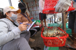 Khánh Hòa: Tôm hùm được giá