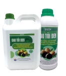 Kháng sinh tự nhiên cho tôm từ dịch cao tỏi đen Kháng sinh tự nhiên cho tôm từ dịch cao tỏi đen