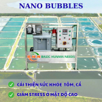 Công nghệ Nano Bubbles: Chìa khóa giúp tôm cá khỏe, nâng cao hiệu quả chăn nuôi thủy sản