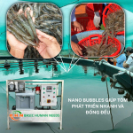 Công nghệ Nano Bubbles: Giải pháp Ôxy & Ozone toàn diện cho ao tôm sạch khỏe