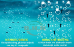 Công nghệ Nanobubble: Giải pháp đột phá nâng cao hiệu quả nuôi trồng thủy sản bền vững