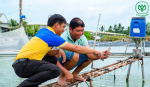 18 CON/KG Cùng sú C.P. thắng ehp trên ao lót bạt đáy 100%