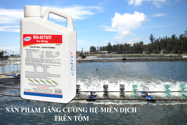 Ứng dụng Beta-Glucan và Manan Oligosaccharides trong nuôi tôm Ứng dụng Beta-Glucan và Manan Oligosaccharides trong nuôi tôm