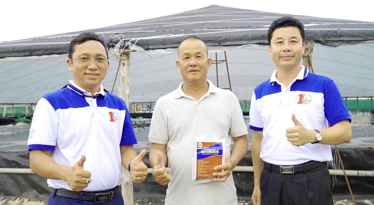 Nuôi tôm kiểm soát tảo: Giải pháp kỹ thuật đột phá 2025