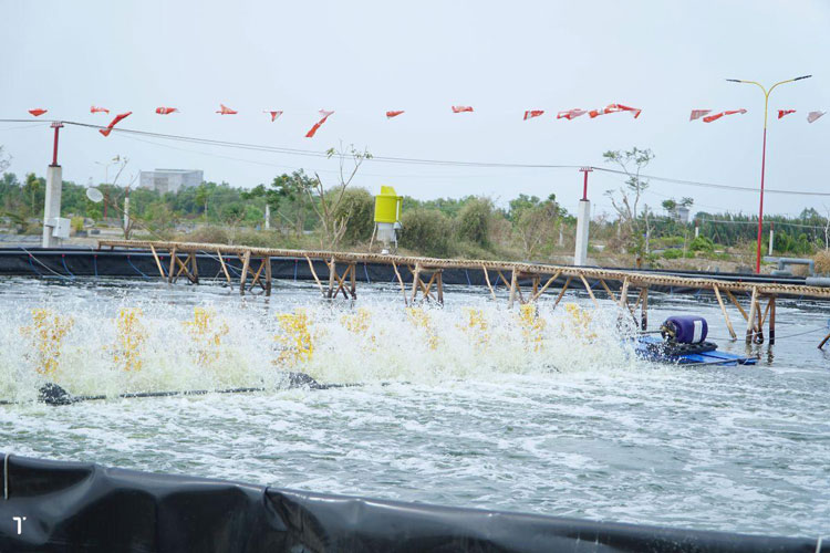 Chuẩn bị nguồn nước đạt chuẩn trước khi thả tôm