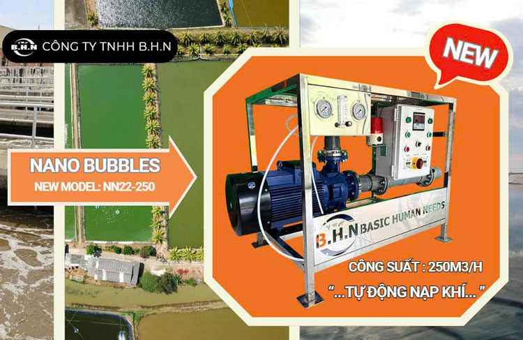 Công nghệ Nanobubble: Giải pháp nâng cao hiệu quả nuôi tôm cá tại Việt Nam