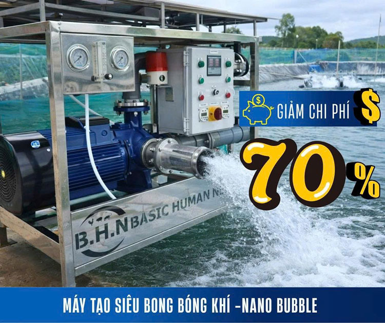 Nanobubbles “Vũ khí bí mật” mang lại tiền tỷ cho chủ trại tôm Nanobubbles “Vũ khí bí mật” mang lại tiền tỷ cho chủ trại tôm
