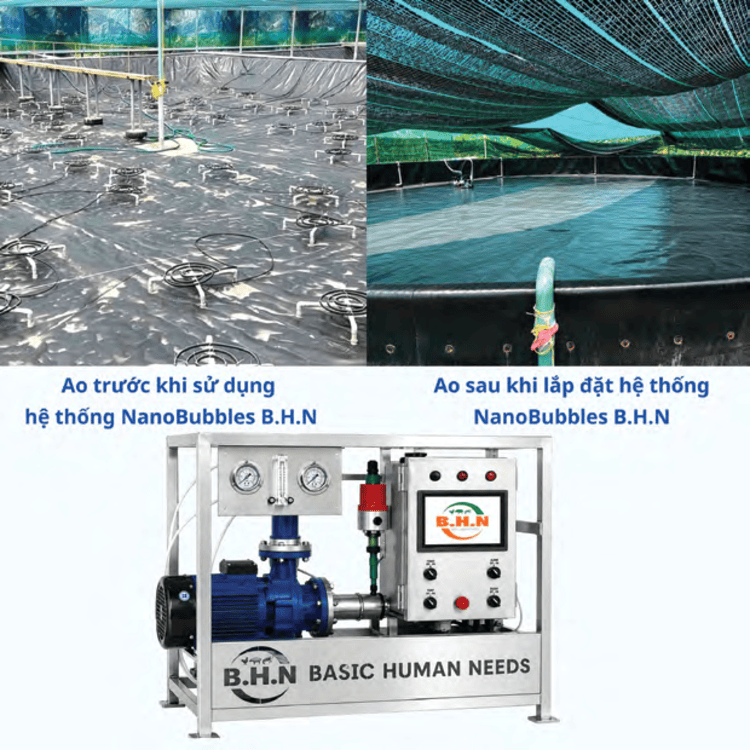 Vì sao nhiều trại tôm vẫn thua lỗ dù đã đầu tư hàng tỷ đồng?