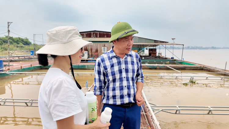 Giải pháp xử lý bệnh cá được Giáo sư đầu ngành đánh giá cao Giải pháp xử lý bệnh cá được Giáo sư đầu ngành đánh giá cao