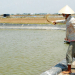 Thành phần dinh dưỡng chính trong thức ăn tôm