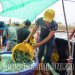 Giá tôm nguyên liệu tuần 12 - 16/6/2023
