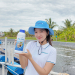 Gan tụy tôm suy yếu: dấu hiệu nhận biết, nguyên nhân và giải pháp hỗ trợ từ bio gan